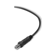 Kabel Belkin USB A, USB B F3U154BT1.8M - zdjęcie poglądowe 1