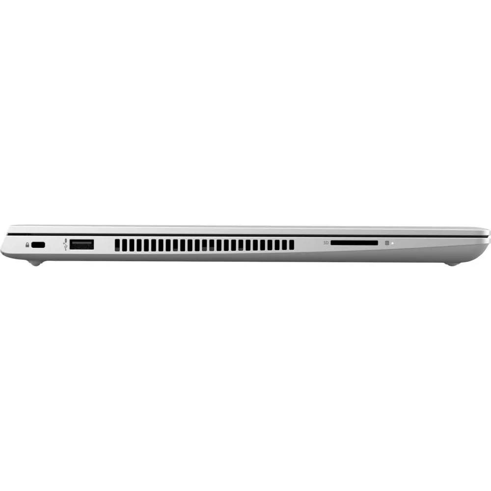 HP ProBook 455 G7 175Q9EA - zdjęcie