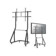 Stojak podłogowy do monitorów Neomounts by Newstar 60-100" NS-M3800BLACK - Czarny