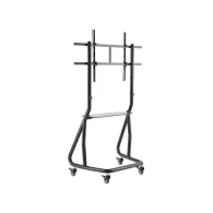 Stojak podłogowy do monitorów Neomounts by Newstar 60-100" NS-M3800BLACK - Czarny