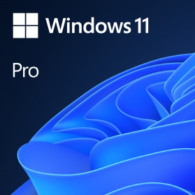 Microsoft Windows 11 Pro ENG x64 DVD - FQC-10528