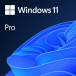 System operacyjny Microsoft Windows 11 Pro PL x64 USB - HAV-00209