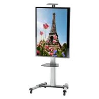 Stojak podłogowy mobilny na monitor Techly LCD/LED 37-70" 022700 - 50 kg/Szary | Sklep ITnes.pl - IT for BUSINESS