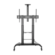 Stojak podłogowy mobilny na monitor Techly LCD/LED 60"-100" 107111 - 100 kg/Czarny | Sklep ITnes.pl - IT for BUSINESS