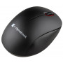 Mysz bezprzewodowa Toshiba Dynabook T120 Quiet Bluetooth Mouse PA5349E-1ETE - zdjęcie poglądowe 3