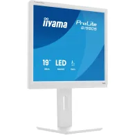 Monitor iiyama ProLite B1980S-W1 - zdjęcie poglądowe 2