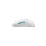 Mysz bezprzewodowa ASUS ROG Harpe Ace Aim Lab Edition 90MP02W0-BMUA10 - 36000 Dpi, Opto-Mechanical, Biała