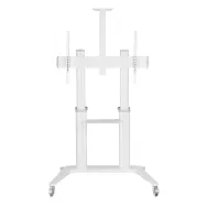 Stojak podłogowy mobilny na monitor Techly 70-120" 362183 - 140 kg/Biały | Sklep ITnes.pl - IT for BUSINESS