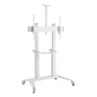 Stojak podłogowy mobilny na monitor Techly 70-120" 362183 - 140 kg/Biały | Sklep ITnes.pl - IT for BUSINESS