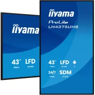 Monitor iiyama ProLite LH4375UHS-B2AG - zdjęcie poglądowe 1
