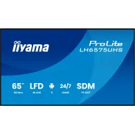 Monitor iiyama ProLite LH6575UHS-B2AG - zdjęcie poglądowe 9