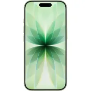 Smartfon Apple iPhone 17 MG6N4AF/A, A19, 6,3" 2622x1206, 256GB, 8GB, 5G, Szałwia, Aparat 48+18Mpix, iOS, 1 rok Carry-in | Sklep ITnes.pl, IT for BUSINESS