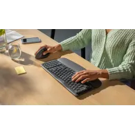 Zestaw bezprzewodowy klawiatury i myszy Logitech Wave Keys and Lift Combo 920-013635 - Grafitowy