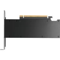 Karta graficzna NVIDIA RTX PRO 2000 Blackwell 16 GB GDDR7 ECC 900-5G195-2551-000 - 4x miniDP