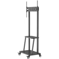 Stojak podłogowy Techly ICA-TR30 - TV 55-100", do 150kg, regulowany, 2 półki, Czarny