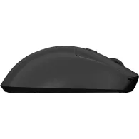 Mysz bezprzewodowa Natec Hawk 2 NMY-2388 - Optyczna, 3200 DPI, Czarna