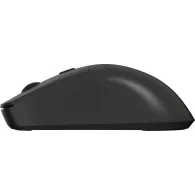 Mysz bezprzewodowa Natec Hawk 2 NMY-2388 - Optyczna, 3200 DPI, Czarna
