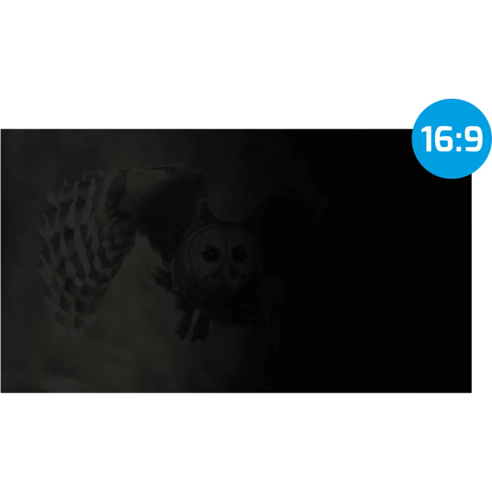 Filtr prywatyzujący Natec OWL NFP-2288 - 17,3", 16:9, 383x215 mm