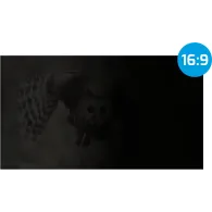 Filtr prywatyzujący Natec Owl NFP-2118 - 27", 16:9, 598x337 mm