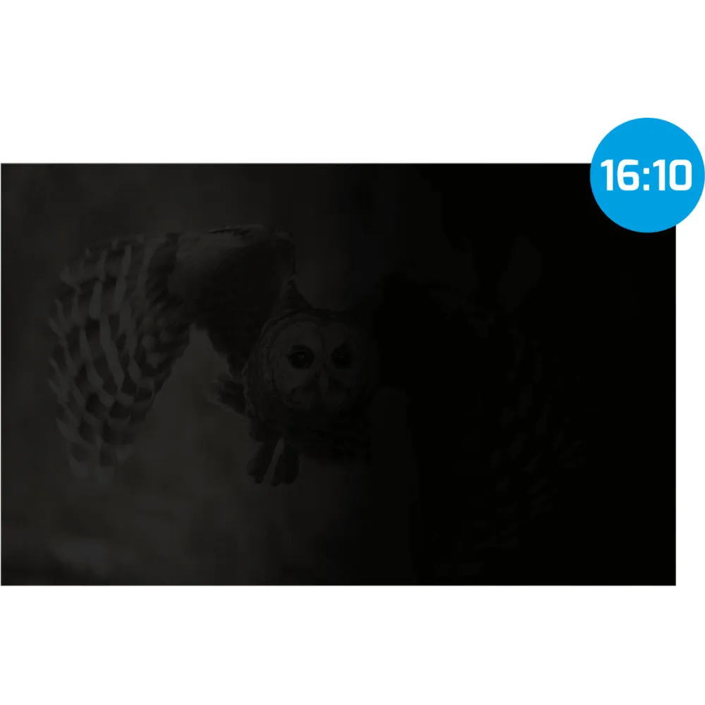 Filtr prywatyzujący Natec Owl NFP-2287 - 16", 16:10, 345x215 mm