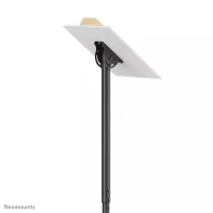 Uchwyt sufitowy do monitorów Neomounts by Newstar 23-43" CL35-340BL22 - 106-156 cm, Czarny