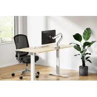 Uchwyt stołowy do monitorów Neomounts by Newstar NEXT Slim Monitor arm 17-35" DS70-250SL1 - Sprężyna gazowa, Srebrny