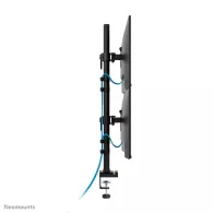 Uchwyt biurkowy na monitory Neomounts by Newstar Dual Monitor arm 10-32" DS60-600BL2V - Czarny