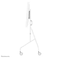 Stojak podłogowy do monitorów Neomounts by Newstar Samsung Flip trolley 55-65" FL50-515WH1 - Biały