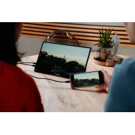 Monitor Verbatim PMT-14 49591