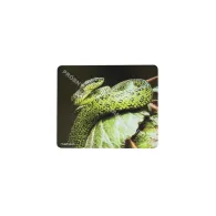 Natec NPP-0936 PODKŁADKA POD MYSZ PRINTABLE NATEC BIAŁA 220X180MM | Sklep ITnes.pl - IT for BUSINESS Natec NPP-0936 PODKŁADKA POD MYSZ PRINTABLE NATEC BIAŁA 220X180MM | Sklep ITnes.pl - IT for BUSINESS