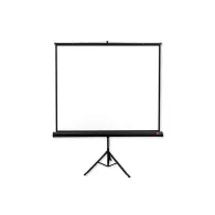 Ekran projekcyjny na statywie AVTek TRIPOD PRO 200 - Wymiary ekranu: 200 x 200 cm, 111"