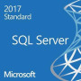 Oprogramowanie Microsoft SQL Server 2017 Standard EN 10 CAL - zdjęcie poglądowe 1