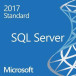 Oprogramowanie Microsoft SQL Server 2017 Standard EN 10 CAL - 228-11033