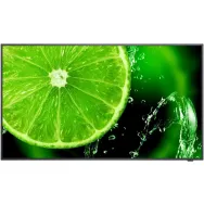 Monitor NEC MultiSync E558 60005054, 54,6", 3840x2160 (4K), 75Hz, IPS, HDR, 8 ms, Czarny | Sklep ITnes.pl, IT for BUSINESS