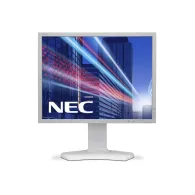 Monitor NEC P212 60003862, 21,3", 1600x1200 (UXGA), 85Hz, 4:3, IPS, 8 ms, pivot, Czarny | Sklep ITnes.pl, IT for BUSINESS
