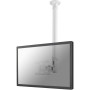 Uchwyt sufitowy do monitorów Neomounts by Newstar 10"-30" FPMA-C100WHITE - Biały