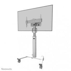 Uchwyt podłogowy do monitorów Neomounts by Newstar Move Up Mobile Display Floor Stand 32-75" FL50S-825WH1 - Biały