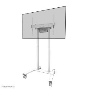 Stojak podłogowy do monitorów Neomounts by Newstar 55-100" FL55-875WH1 - Biały