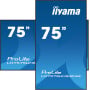 Monitor iiyama ProLite LH7575UHS-B1AG - zdjęcie poglądowe 1