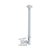 Uchwyt sufitowy do monitorów Neomounts by Newstar 10"-30" FPMA-C100SILVER - Srebrny