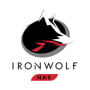 Dysk HDD 8 TB SATA 3,5" Seagate IronWolf ST8000NE001 - zdjęcie poglądowe 1