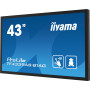 Monitor iiyama ProLite TF4339AS-B1AG - zdjęcie poglądowe 2