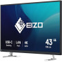 Monitor EIZO FlexScan EV4340X-BK - zdjęcie poglądowe 1