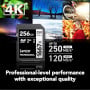Karta pamięci Lexar SDXC 256 GB Professional 1667x LSD256CB1667 - UHS-I, 250MB|s|120MB|s, C10, V60, U3