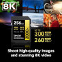 Karta pamięci Lexar SDXC 256 GB Professional 2000x LSD2000256G-BNNNG - UHS-II, 300MB|s|260MB|s, C10, V90, U3