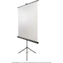 Ekran projekcyjny na statywie AVTek TRIPOD STANDARD 150 - Wymiary ekranu: 175 x 175 cm, 83"
