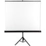 Ekran projekcyjny na statywie AVTek TRIPOD STANDARD 150 - Wymiary ekranu: 175 x 175 cm, 83"