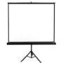 Ekran projekcyjny na statywie AVTek TRIPOD PRO 200 - Wymiary ekranu: 200 x 200 cm, 111"