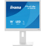 Monitor iiyama ProLite B1980S-W1