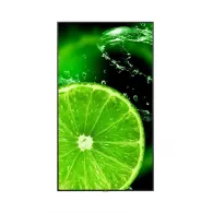 Monitor NEC MultiSync E988 60005929, 97,5", 3840x2160 (4K), 75Hz, IPS, HDR, 8 ms, USB-C, Czarny | Sklep ITnes.pl, IT for BUSINES